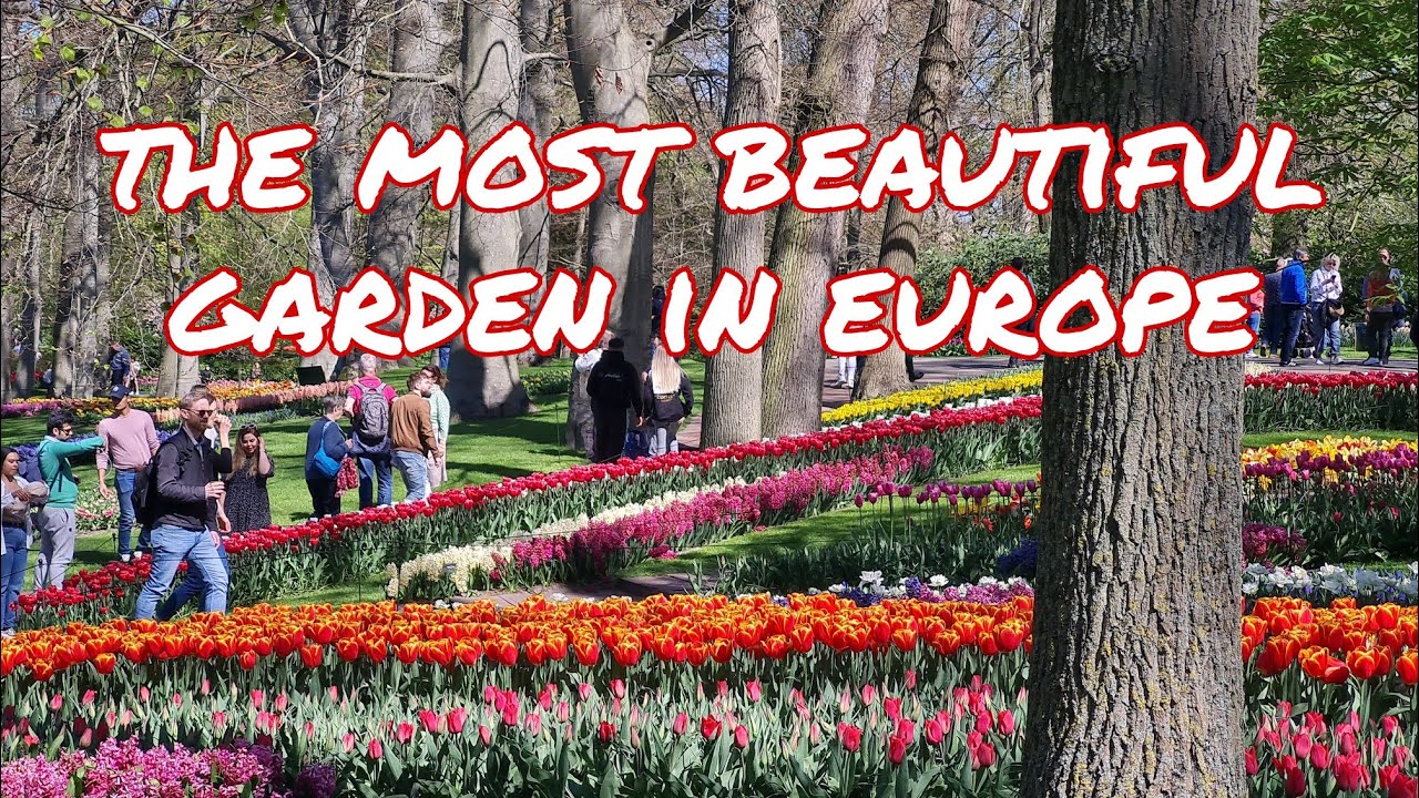 PART 3 KEUKENHOF HOLLAND 2022...TULIPS FLOWER FESTIVAL #keukenhof #tulips #holland