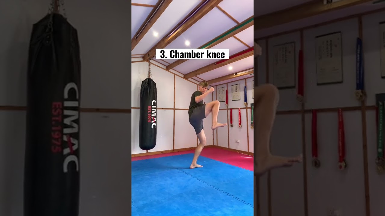 Barboza&rsquo;s spinning hook kick tutorial✅ #shorts