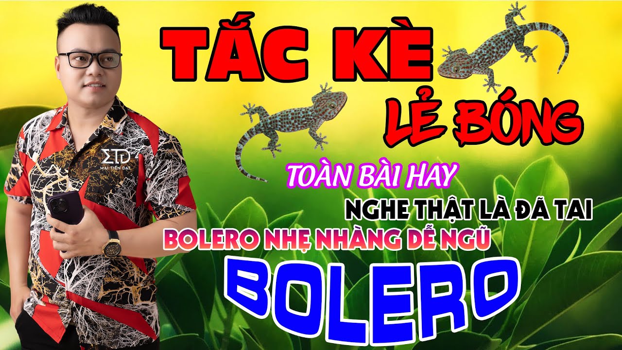 Tắc Kè Lẻ Bóng - Mai Tiến Đạt,LK Rumba,Bolero,Dân Ca Trữ Tình Hay Nhất Hôm Nay,Nghe Sẽ Nghiện.