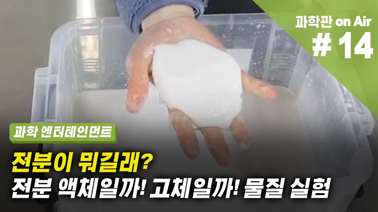전분이 뭐길래?
