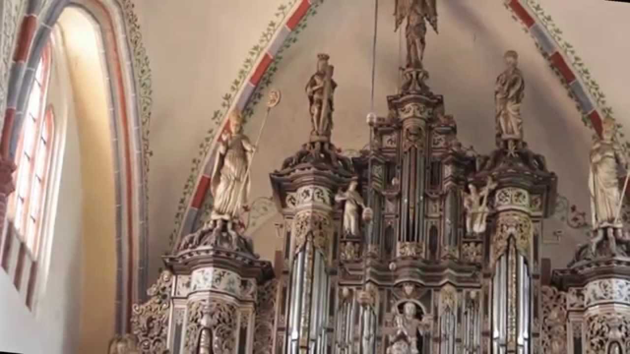 Organy w katedrze św. Jana Chrzciciela w Kamieniu Pomorskim,  koncert