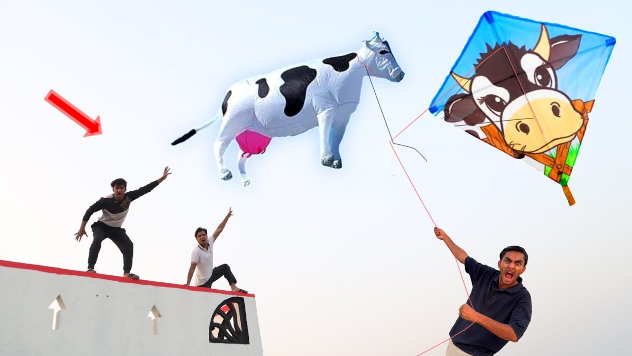 New Cow Kite Catch Haveli Roof | Small Kite Caught Tree