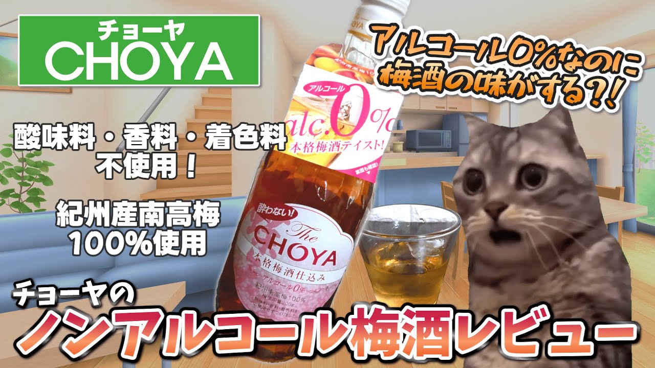 チョーヤのノンアルコール梅酒「酔わないThe CHOYA 本格梅酒仕込み」買ってみた！【低脂質商品紹介】　#猫ミーム #猫マニ
