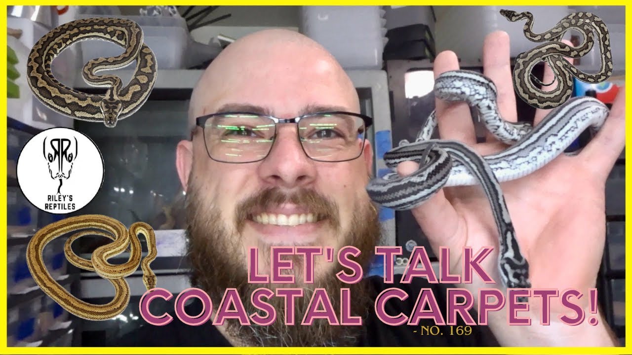 Let's Talk Coastal Carpets! - no. 169