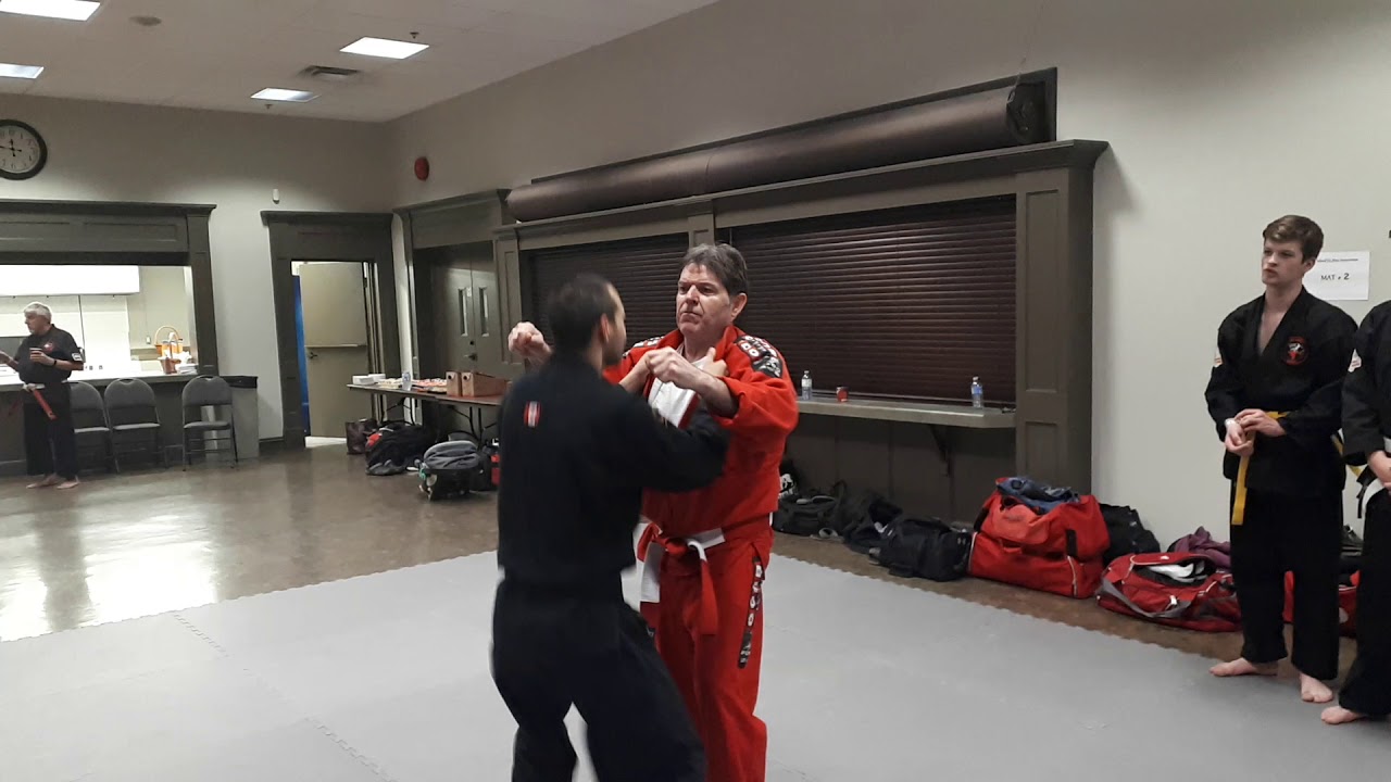 Shihan Mick Legg 1000 Islands Jiu-jitsu Symposium 7/14