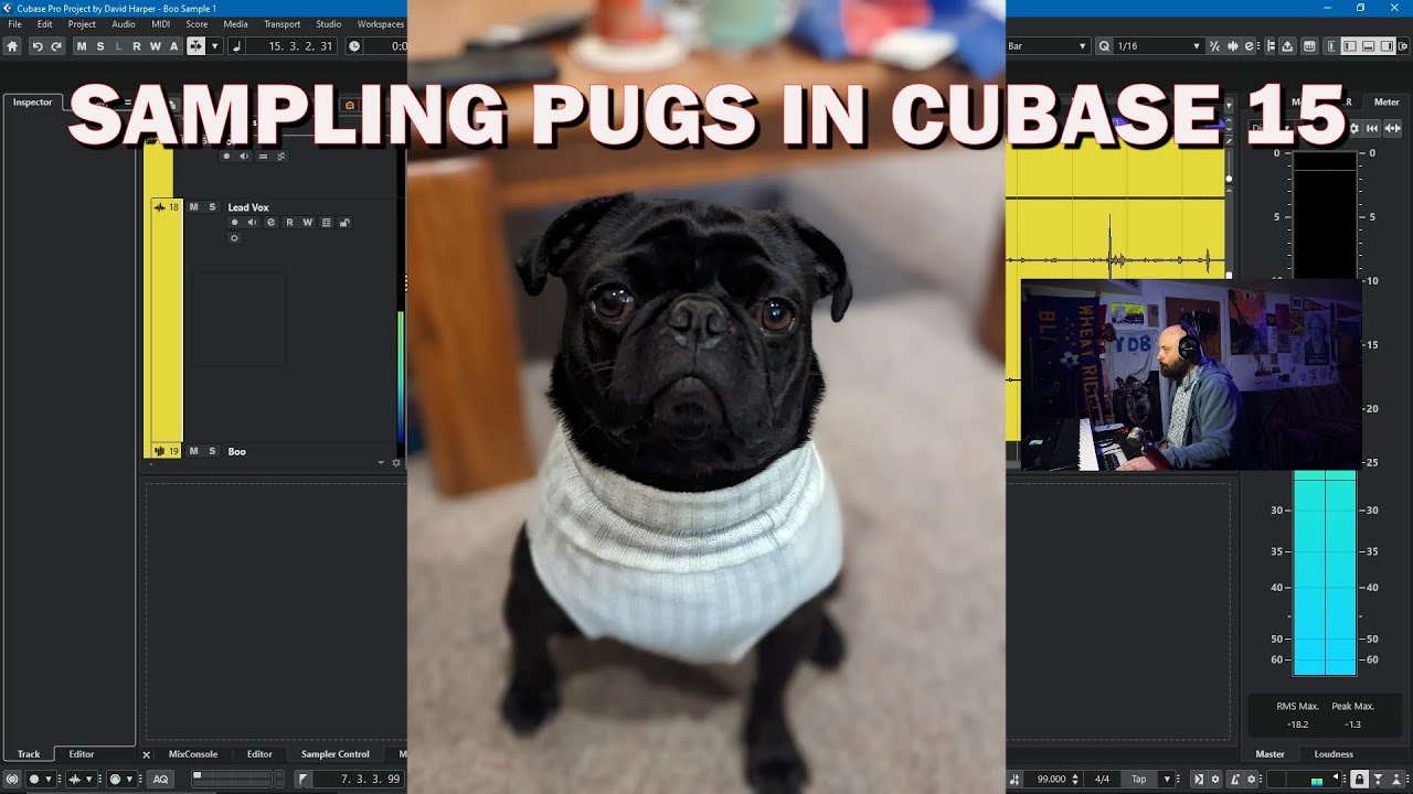 Sampling PUGS in Cubase 15