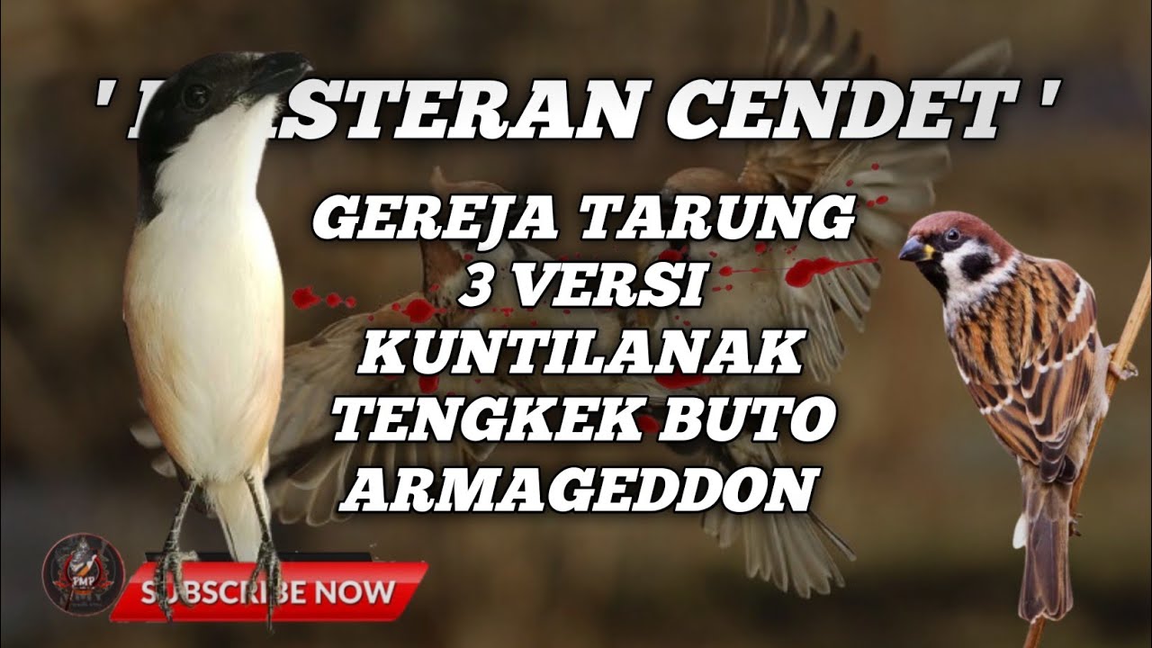 🔴 MASTERAN CENDET GEREJA TARUNG ,KUNTILANAK ,TENGKEK BUTO ,ARMAGEDDON