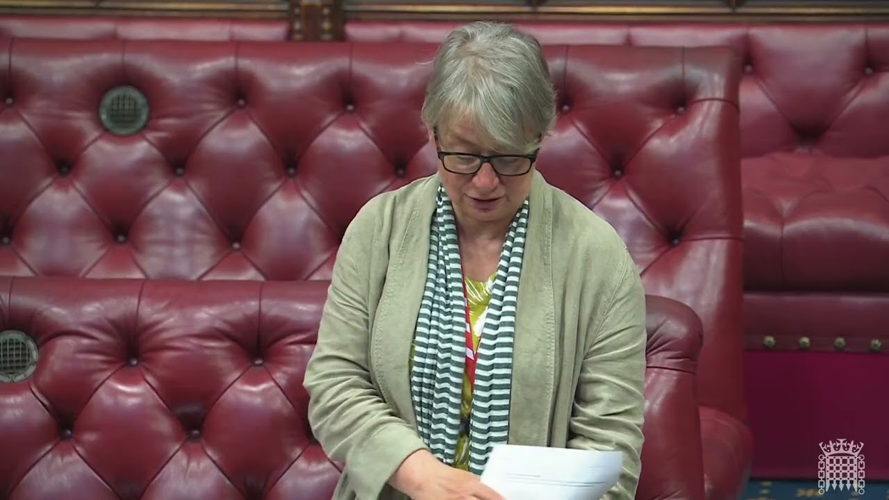 Children’s Wellbeing and Schools Bill Committee Stage Day 5 (4)