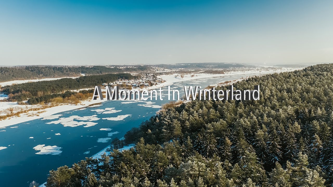 Forest Cinematic | A Moment In Winterland | Lumix GH5 | Mavic 2 Pro
