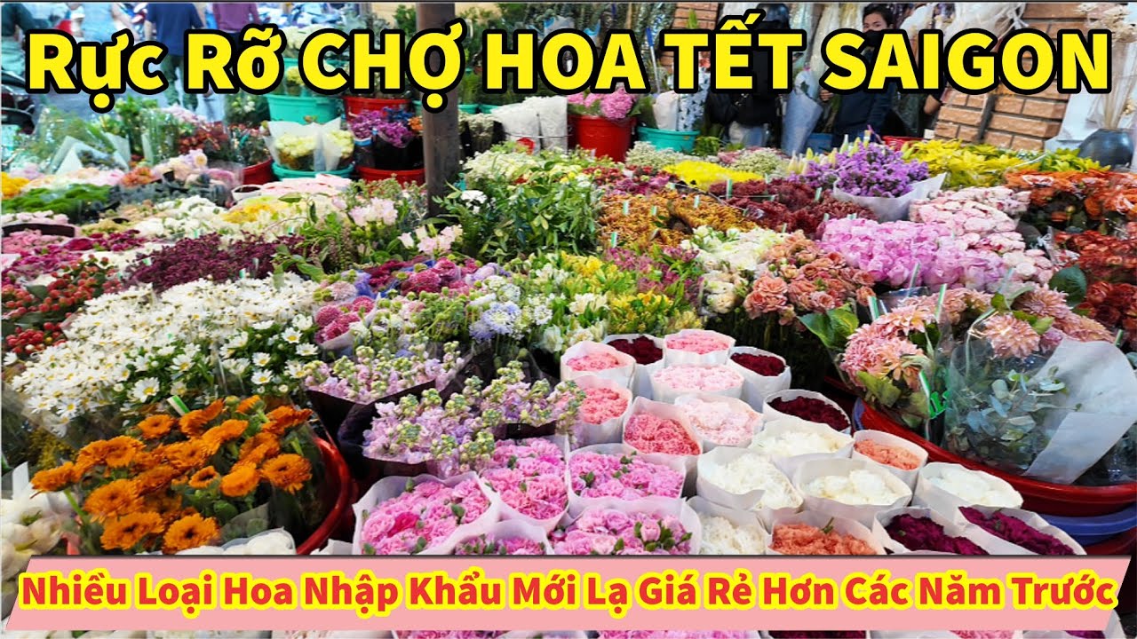 Rực Rỡ CHỢ HOA TẾT SAIGON Nhiều Loại Hoa Nhập Khẩu Mới Lạ Về Nhiều Giá Rẻ Hơn Các Năm Trước