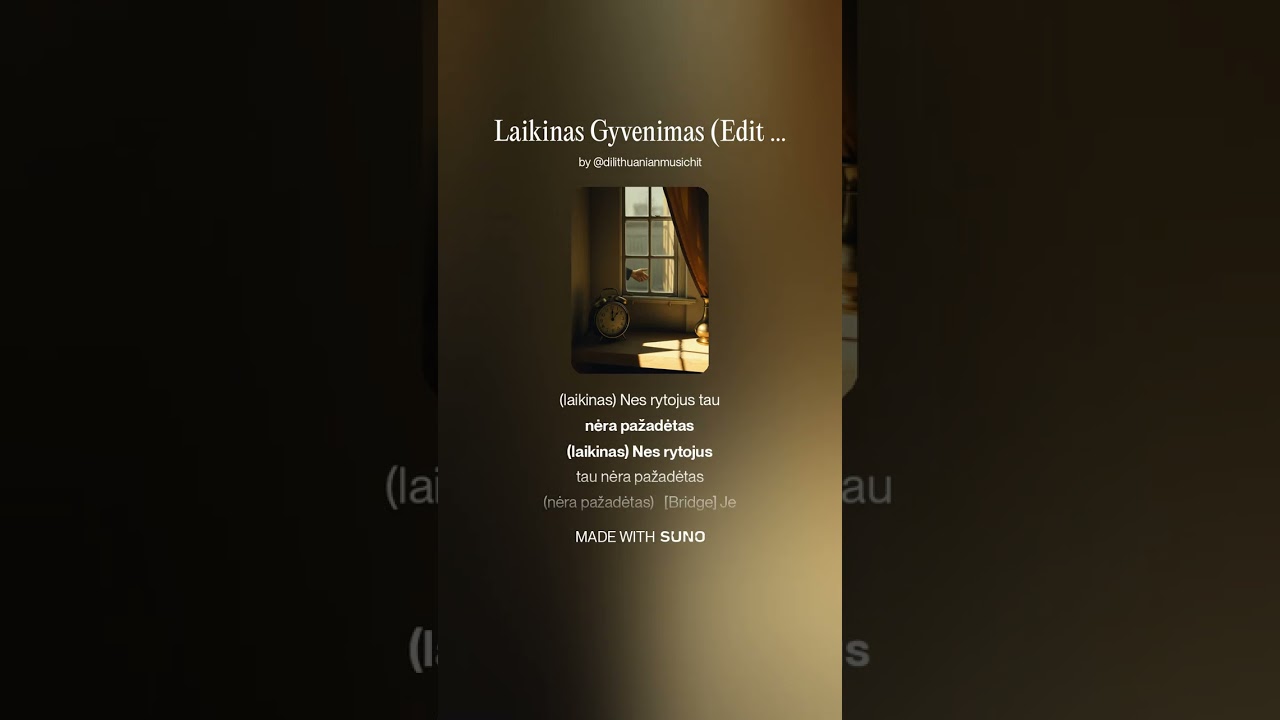 D.I. Lithuanian MusicHit-Laikinas Gyvenimas (Edit 1# 2026)