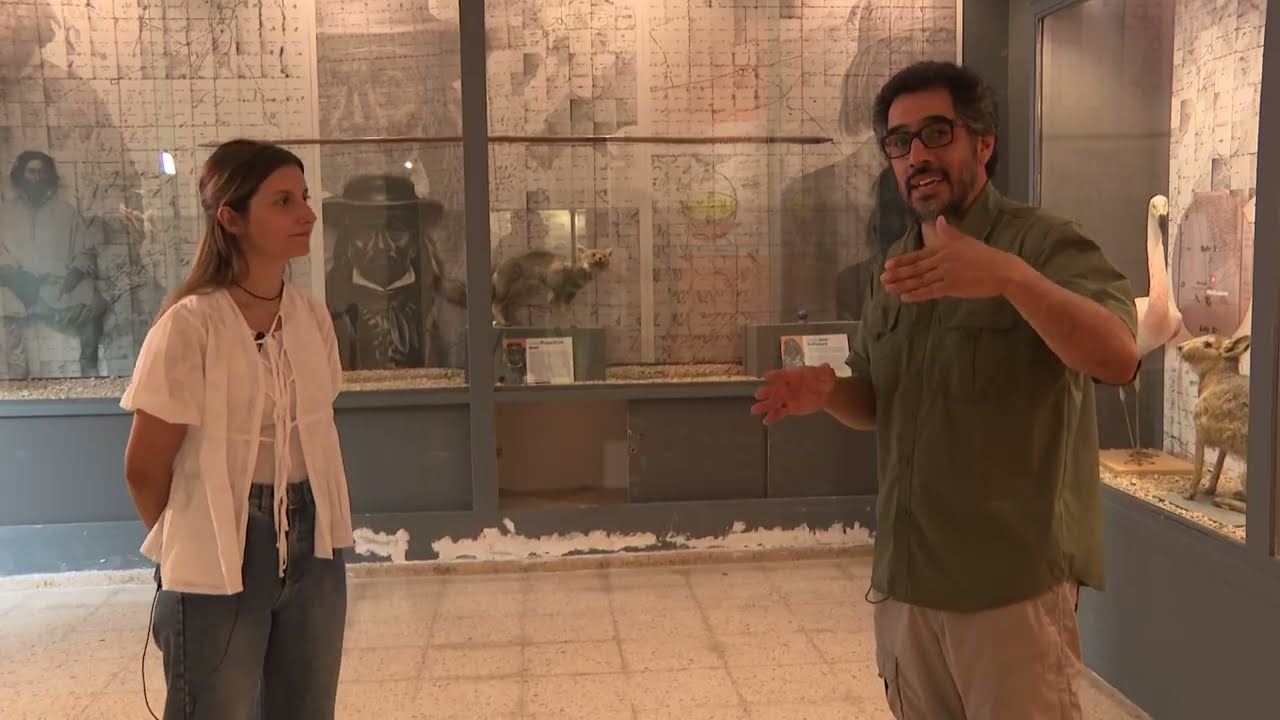 EDT - RECORRIENDO CULTURA - Conocemos el Museo Provincial de Historia Natural