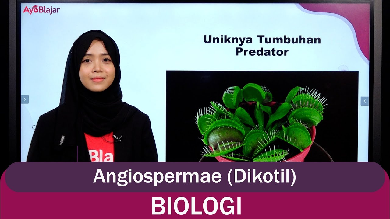 Biologi Kelas 10 - Angiospermae Dikotil