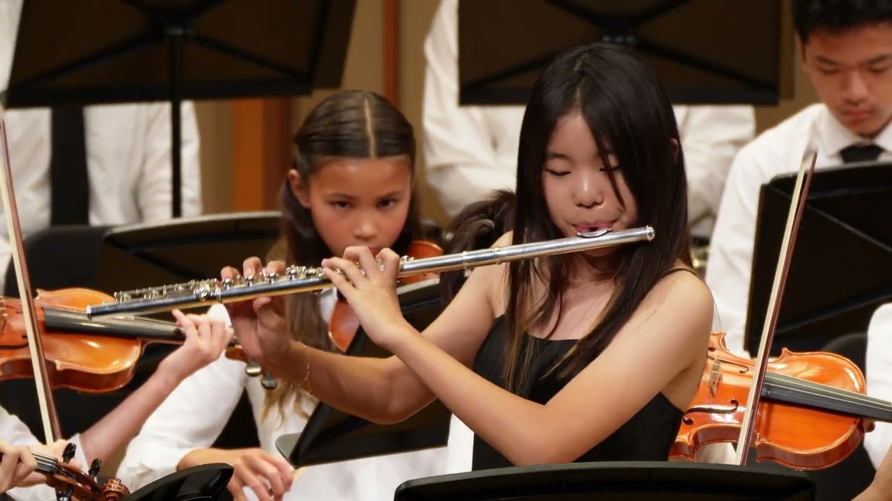 Stamitz: Flute Concerto in G Major (I. Allegro)
