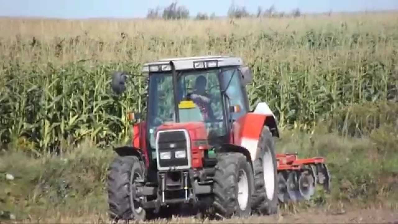 Talerzowanie Ścierniska na Lubelszczyźnie 2014 !    Massey Ferguson