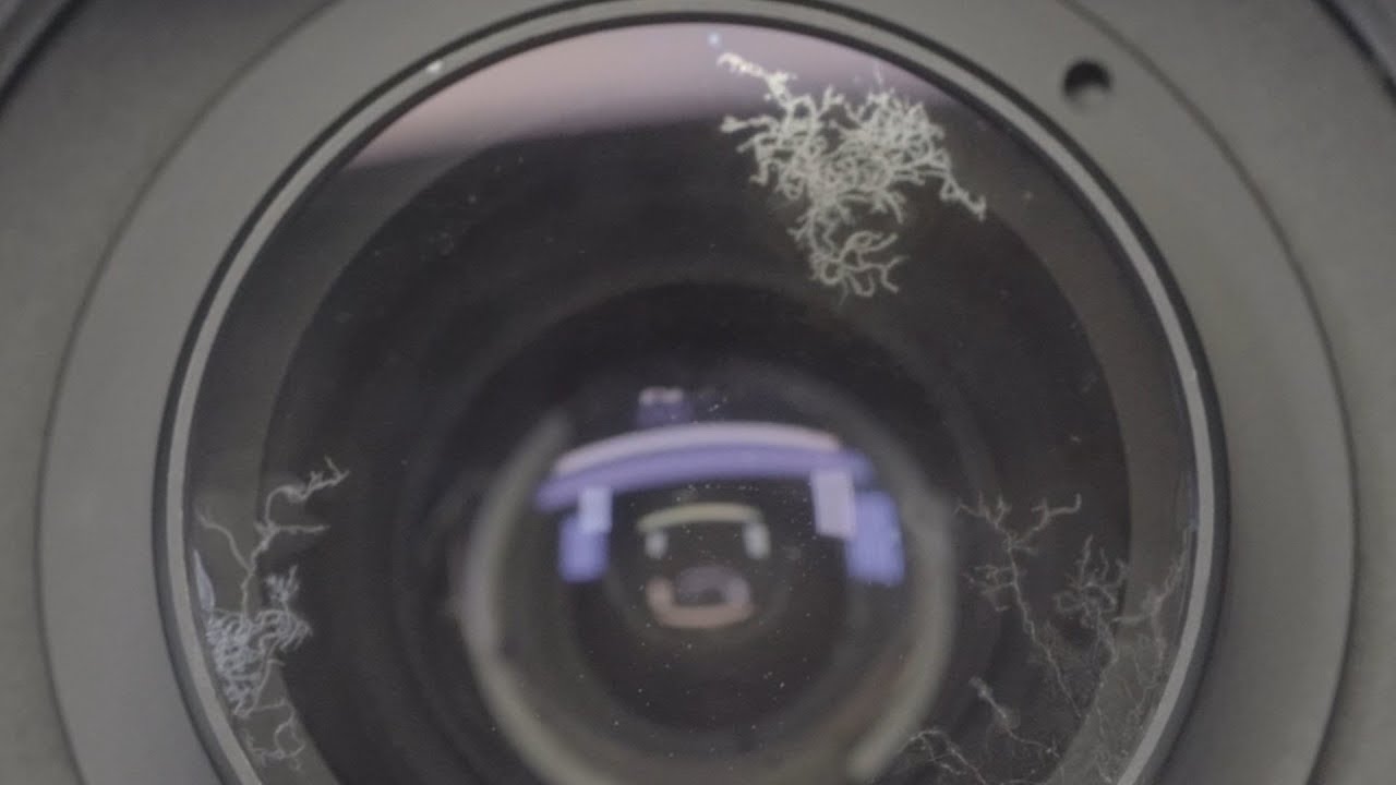 Quickly remove the lens mold or lens fungus