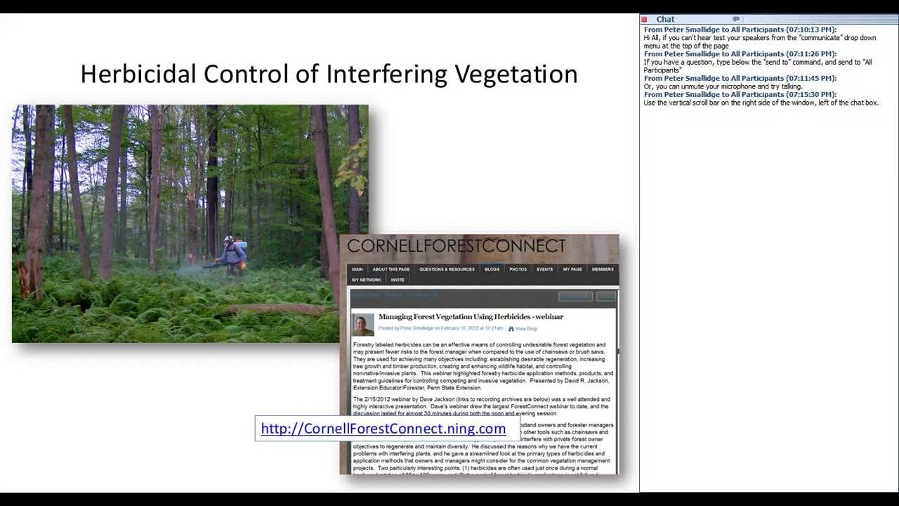 RNYW Webinar.2_april_15_2013