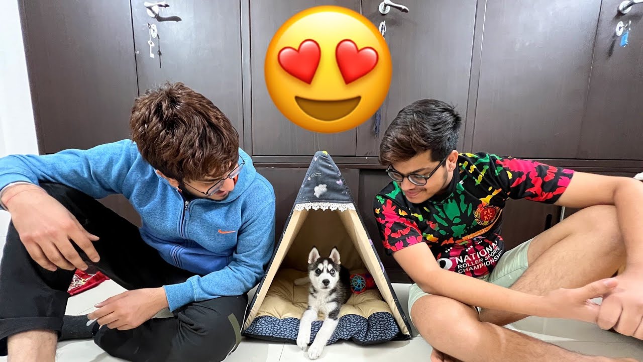 New Home For Toofan 😍🏠
