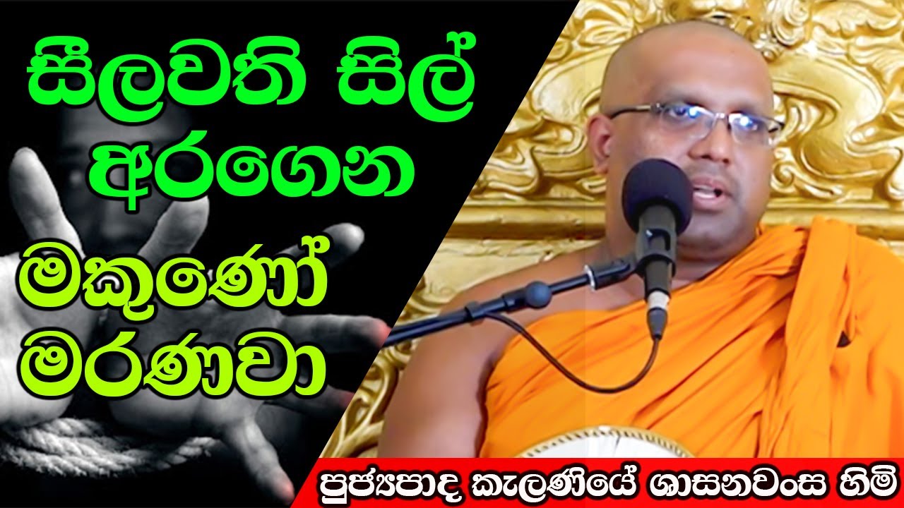 සීලවති සිල් අරගෙන මකුණෝ මරණවා | Kelaniye Sasanawansa Thero | Mindful Wisdom #Bana