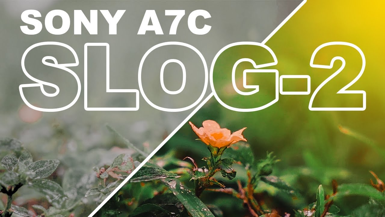 Лучшие настройки Slog-2 для Sony A7C | Примеры отснятого материала