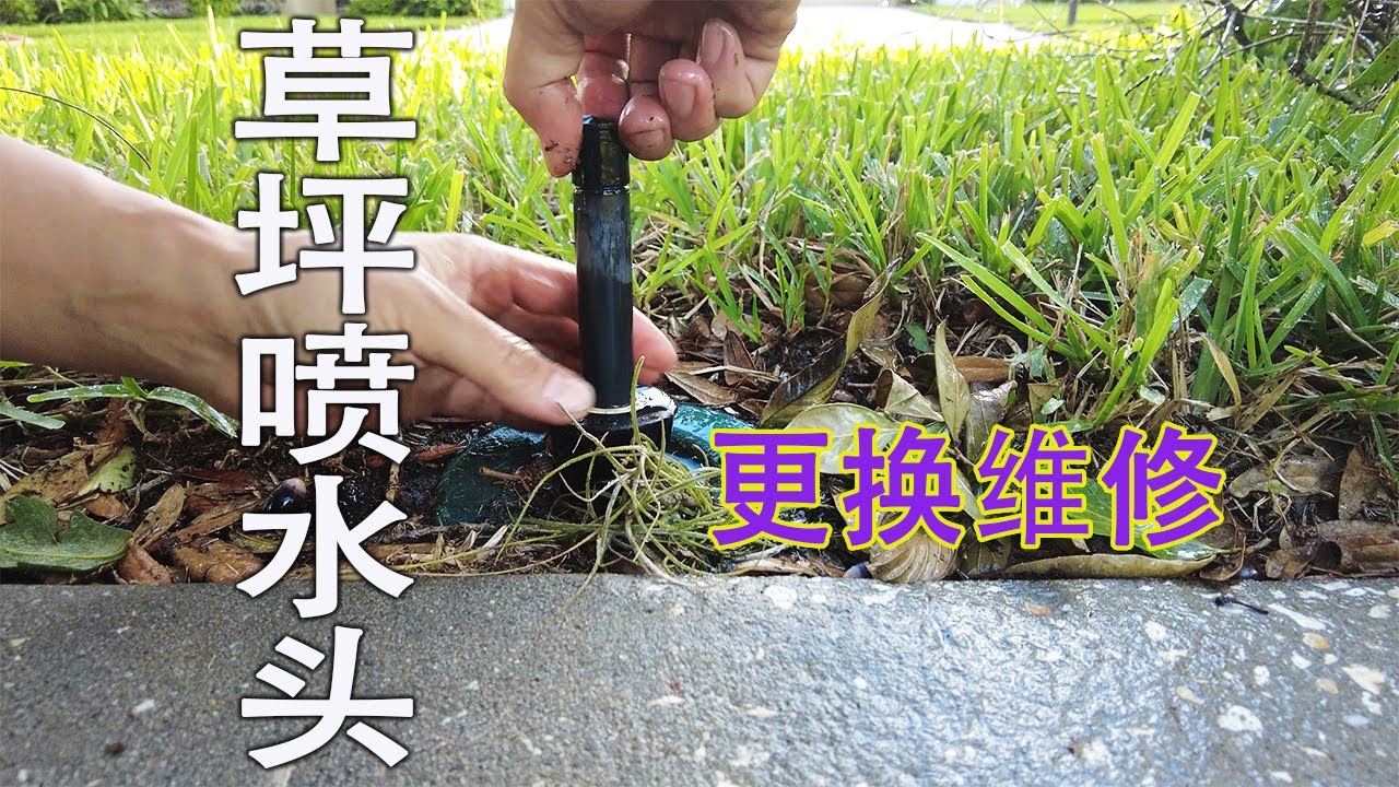 DIY更換草坪噴水頭2020 | 怎样的喷水头需要更换？