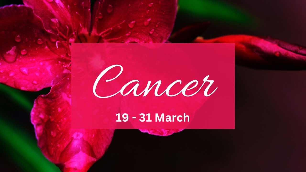 Cancer❤️Someone u really like but can’t see a future with.. this connection is fated..
