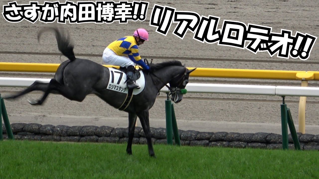 【内田博幸】【ロデオ】体操で鍛えた体幹 ゴールドシップの主戦はだてじゃない⁉ リアルロデオ 現地映像