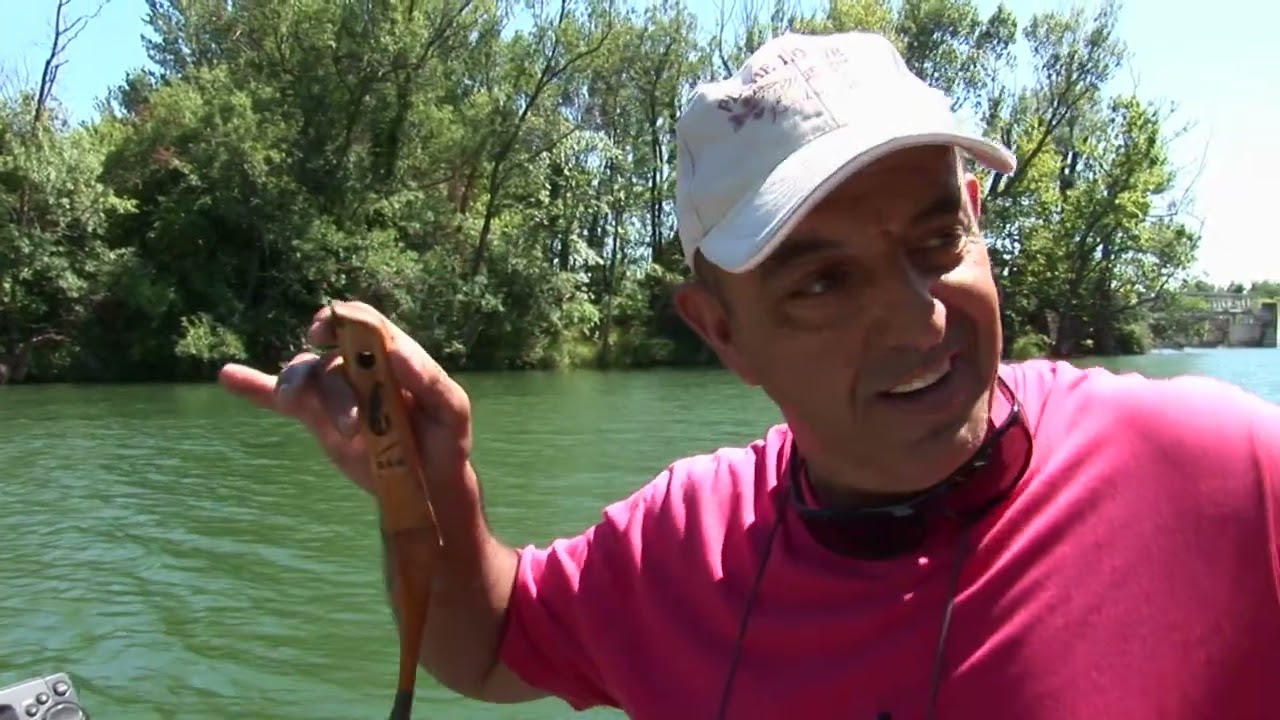 TECHNIQUE PECHE AUX SILURES