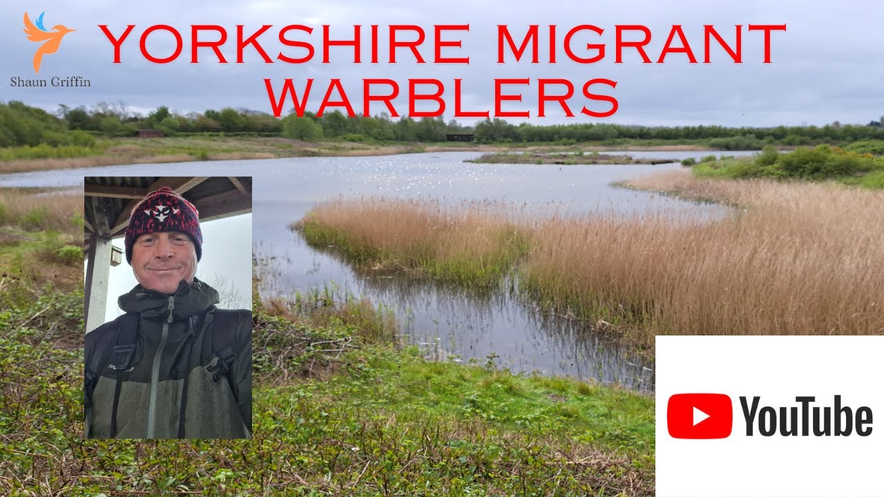 North Cave Wetlands - Yorkshire Wildlife Trust (Apr 24)