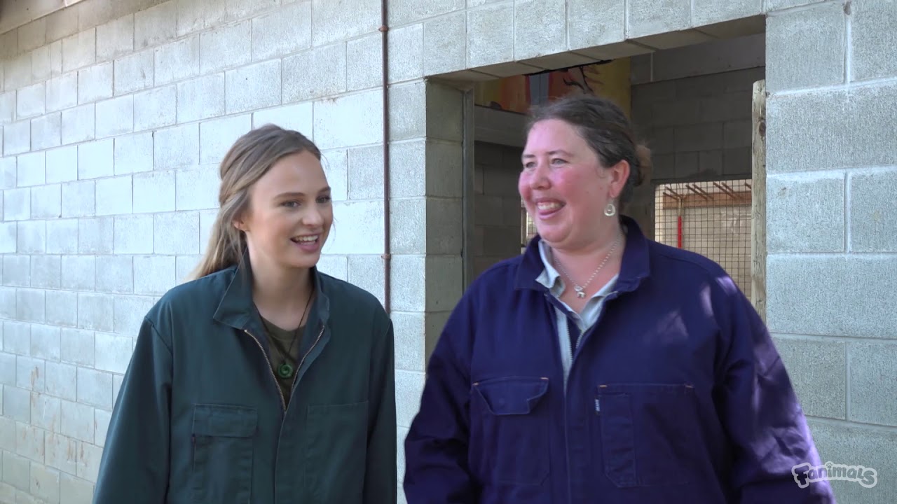 Join Jess to find out what our zoo vets get up to each day!