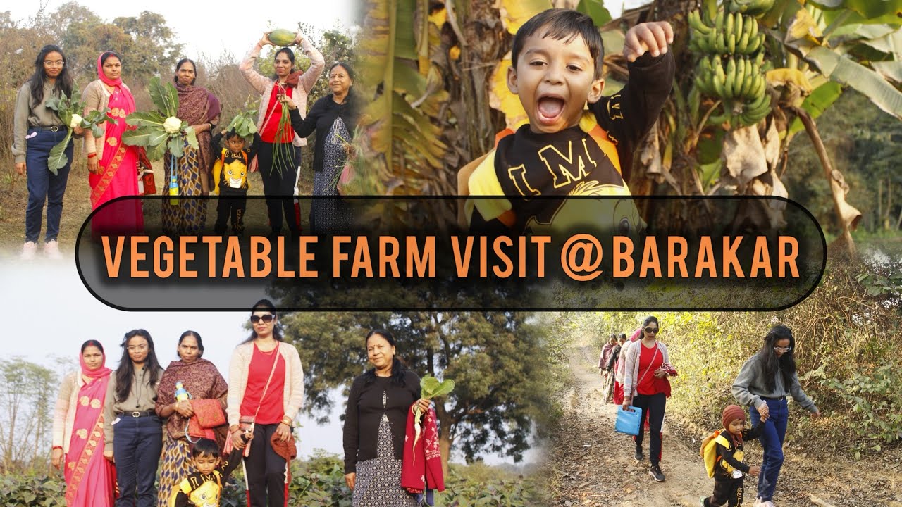 টাটকা শাকসবজির খোঁজে | Vegetable farm visit #vegetablefarm #barakar 