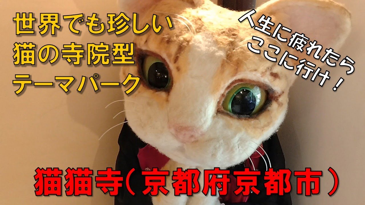 【猫猫寺】（京都府京都市）　人生で悩んでいたら行くべし　寺院型テーマパーク　猫好き垂涎の地　大日猫來を祀る　美術サラブレット加悦雅乃の作品が所狭し　猫は平和の象徴　招喜猫宗と書いてまねきねこしゅう