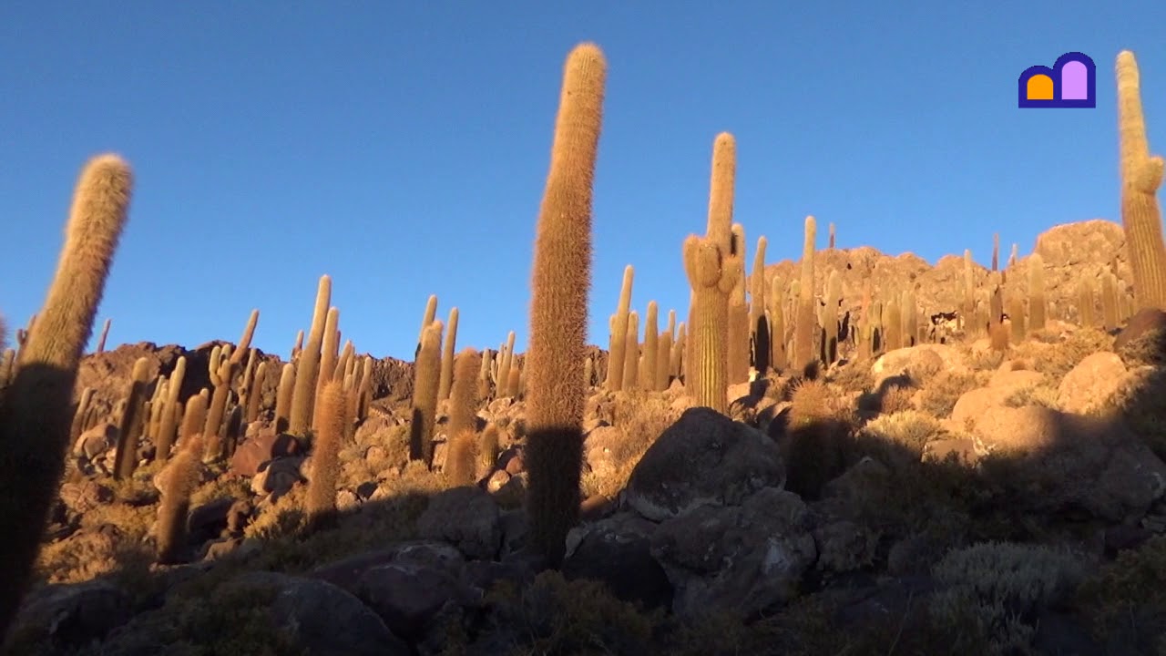 Bolivia - Salar de Uyuni