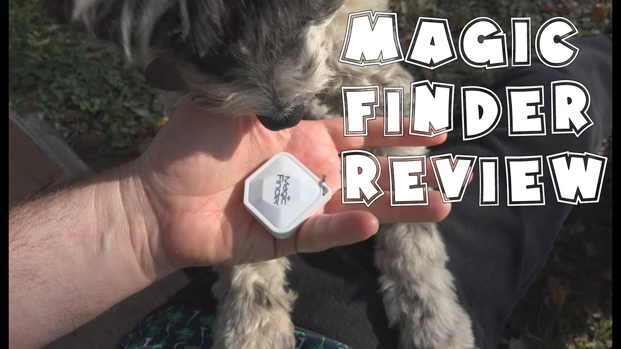 Magic Finder Review- for Keys and Dogs