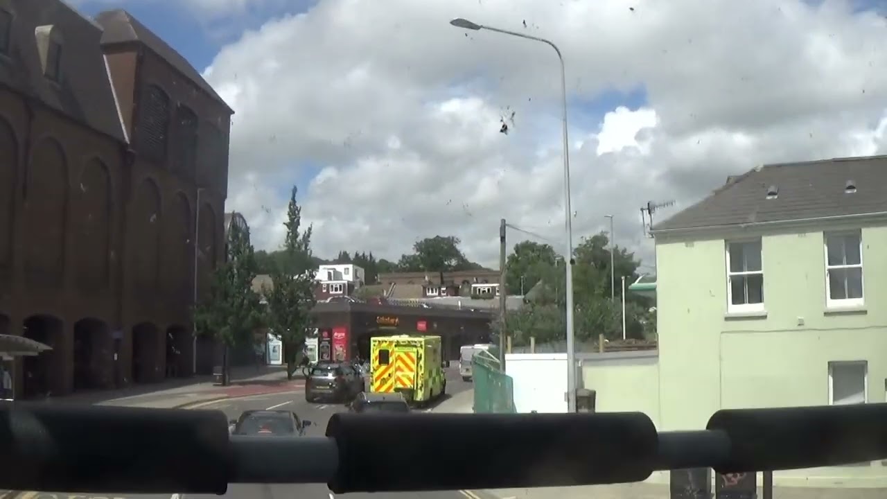 Foxy having a ride on Brighton and Hove bus route 29 in East Sussex, 26th June 2022 pt1