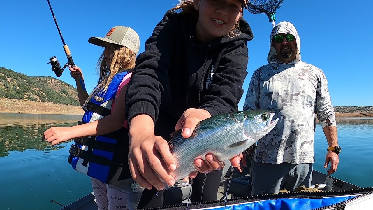 Guided Kokanee Fishing with Kids on Lake New Melones