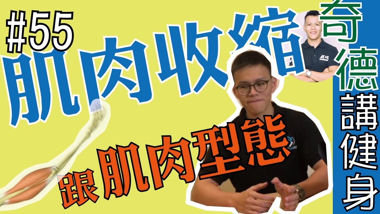等長收縮、等張收縮、紅肌白肌、怎麼應用在訓練上 | 科學應用 | 迷思破解 | 第55集 | 奇德講健身 | 哈士奇德的健身日常