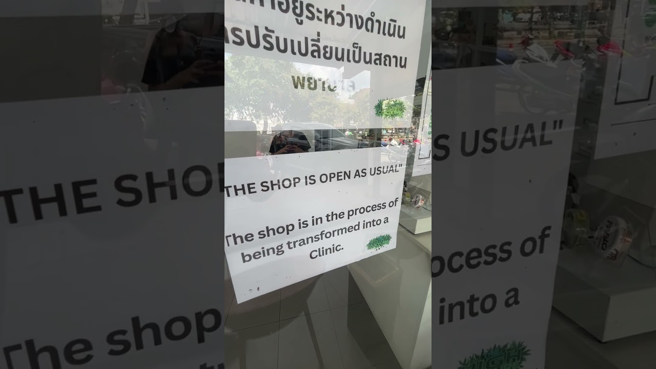 New Cannabis Laws in Thailand #thailand #cannabis #weed #travel