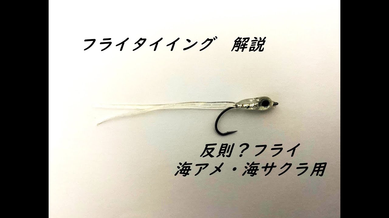 フライタイイング　海アメ 海サクラ 用　反則？ フライ ？