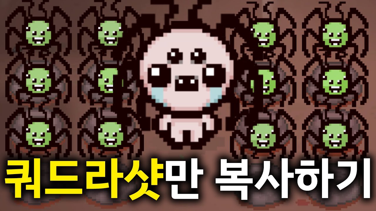무한으로 복사해주는 주사위로 쿼드라샷만 먹었습니다