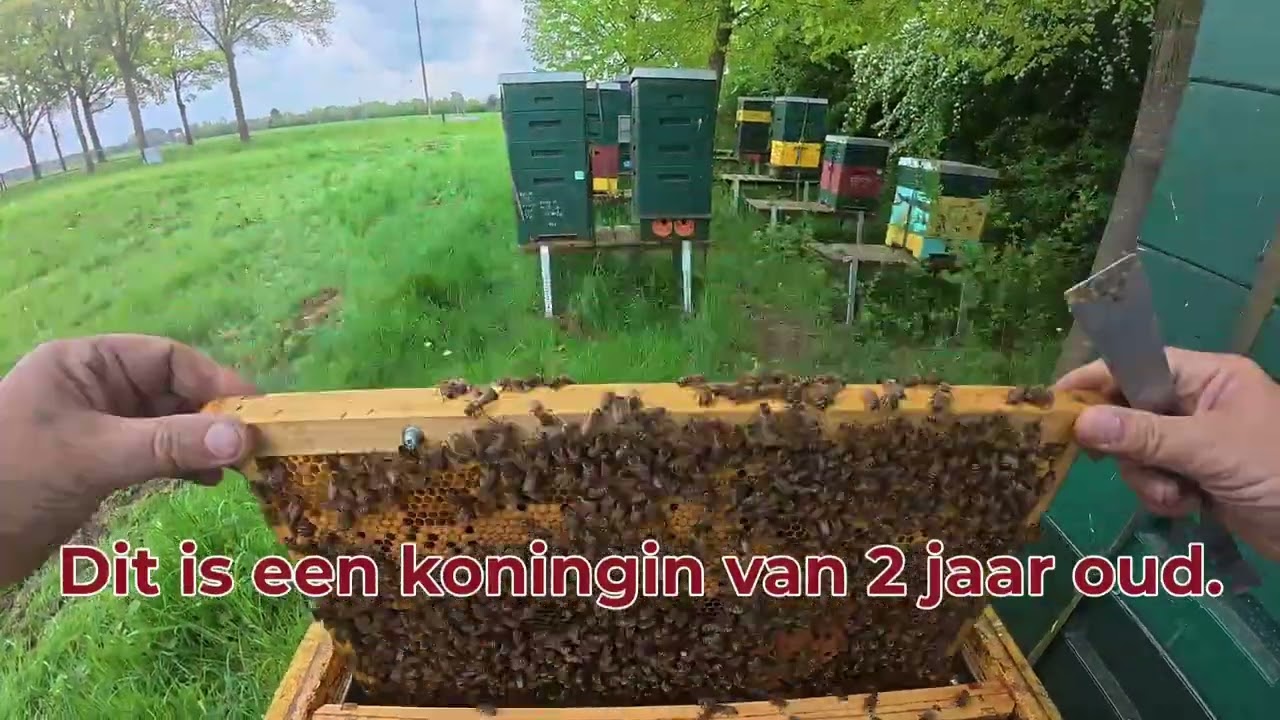 Deel 14: de drie TBA volken op 23-04-2025