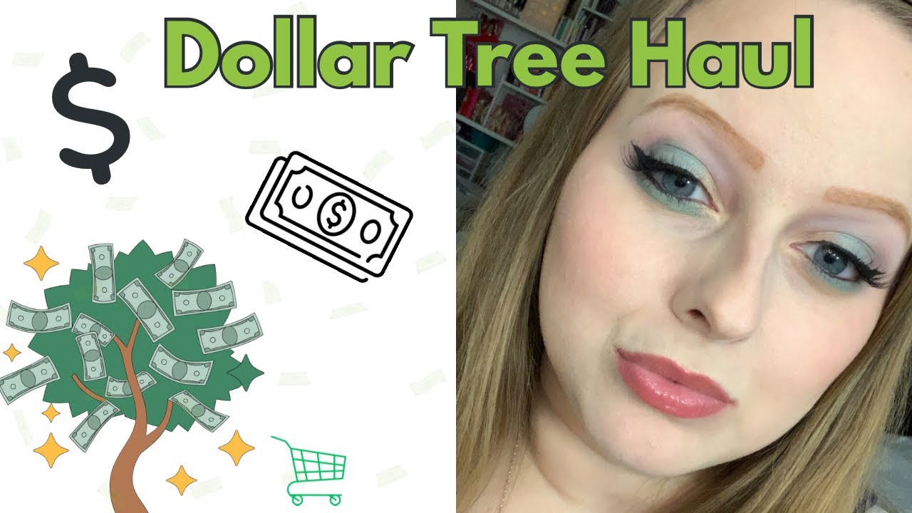 Dollar Tree Haul