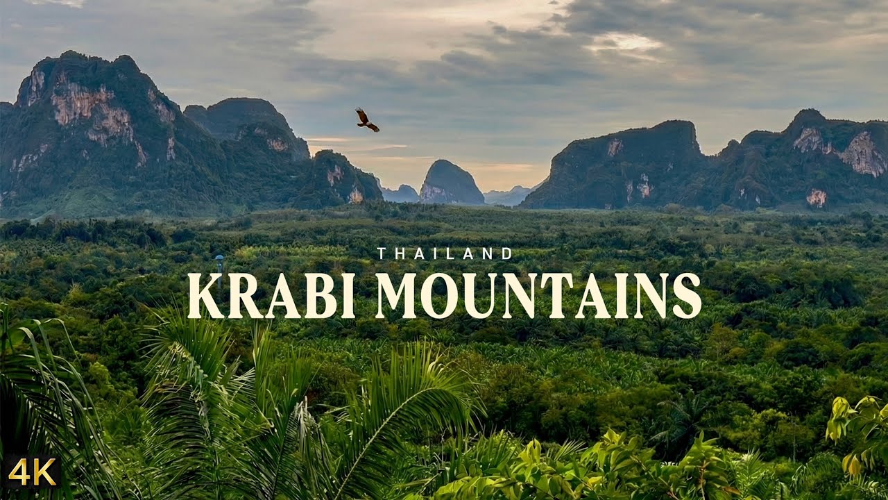 Birdsong over tropical mountains | Thailand