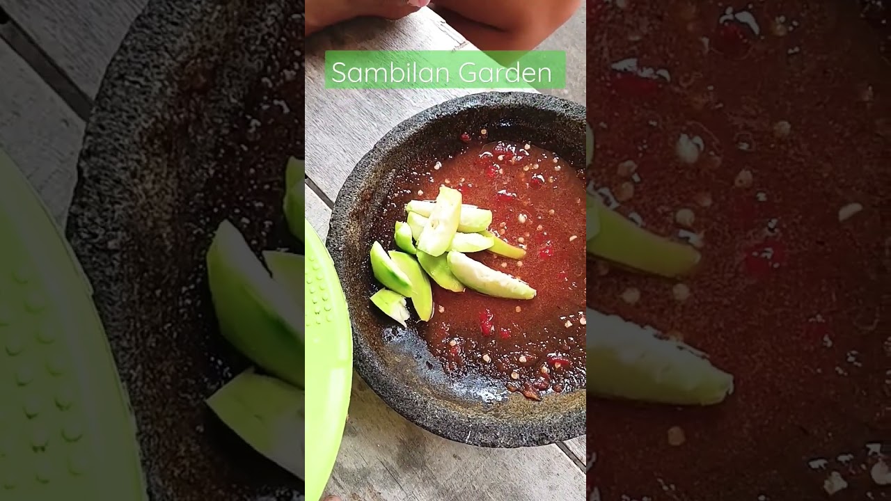 Rujak Kedondong dari Kebun #sambilangarden #rujak #rujakkedondong #kedondong