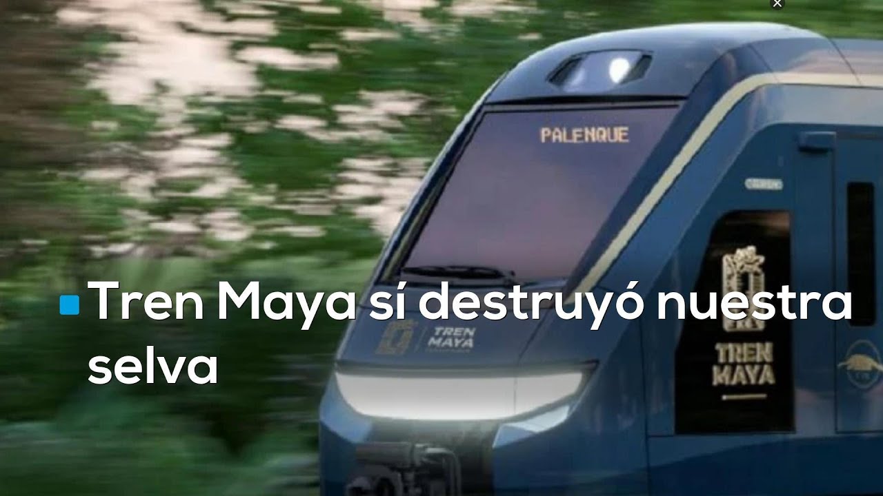 ¡Selva SÍ SUFRIÓ DAÑOS por construcción del Tren Maya! Autoridades admiten ahora su error