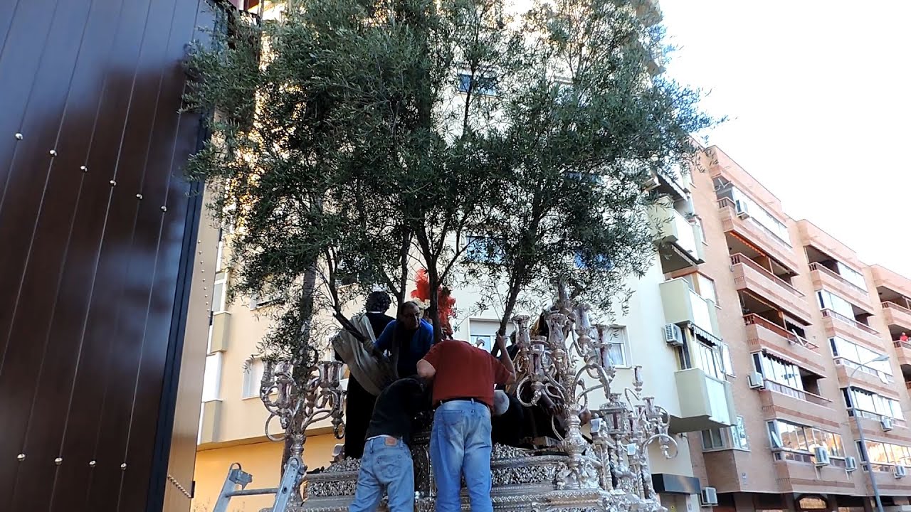 Montaje Del Olivo En El Trono Del Prendimiento, Málaga 2015