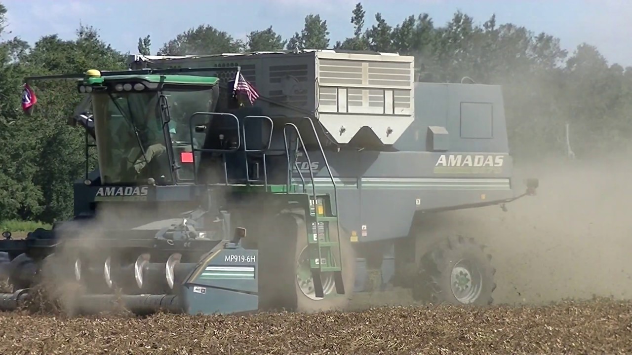 FIVE AMADAS PEANUT COMBINES PICKING PEANUTS. RENTZ FAMILY FARMS 2019 PEANUT HARVESTING PT3