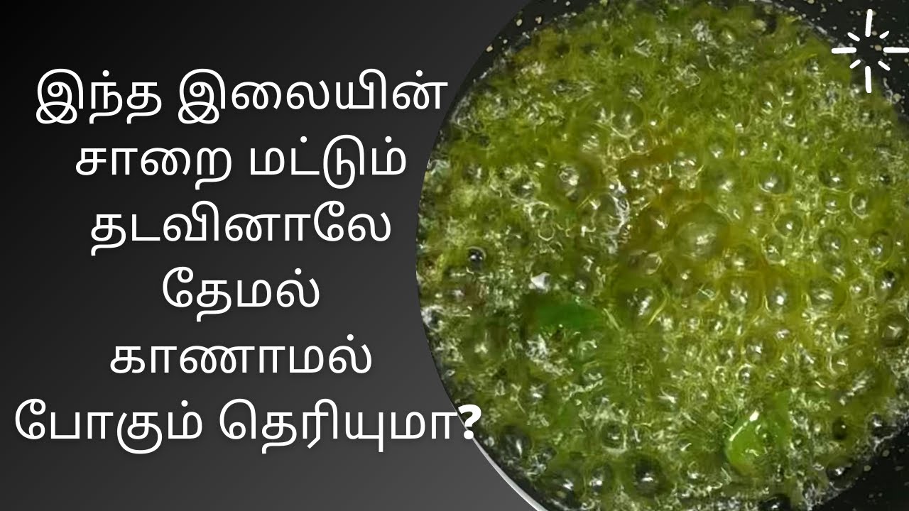 இந்த இலையின் சாறை மட்டும் தடவினாலே தேமல் காணமல் போகும் / Themal home remedies tamil
