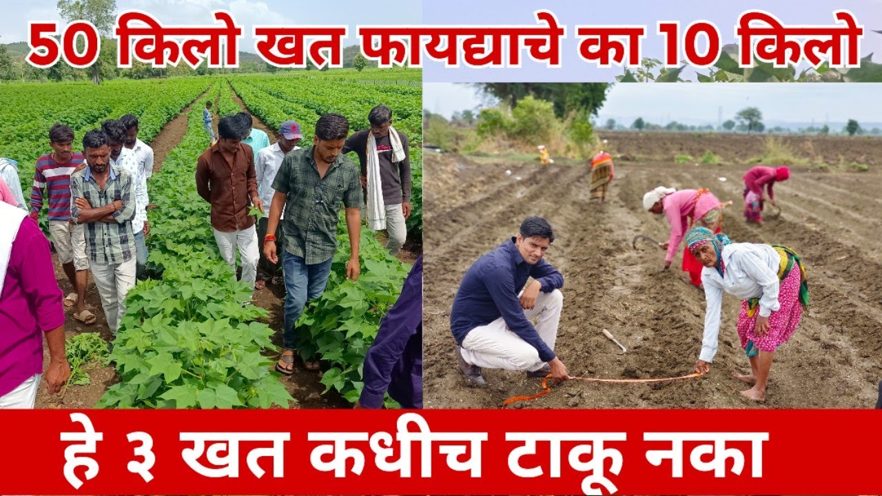 हे 3 खत कधीही घेवू नका नत्रयुक्त खत घेवून फायदा किती नुक्सात किती युरियाचा चे काय काम