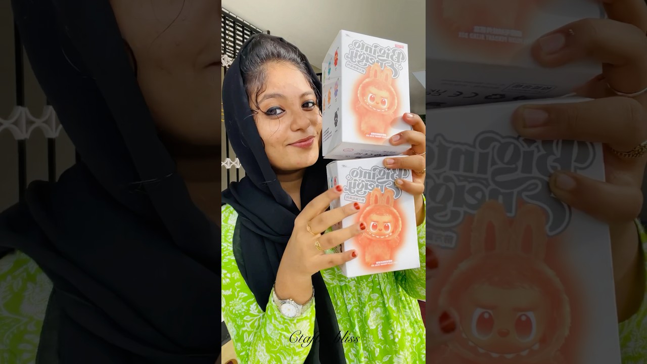 Labubu നമ്മക്ം വന്നു മക്കളേ 🤣🎀#labubu #trending #youtubeshorts #crafting #labubuviral